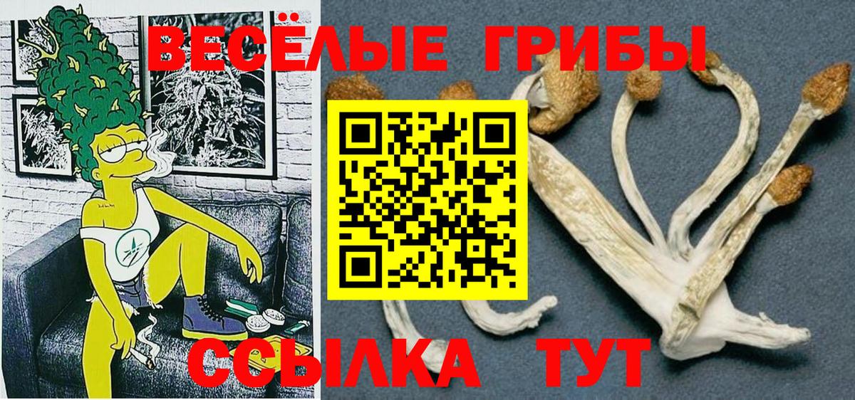 Псилоцибиновые грибы GOLDEN TEACHER Симферополь
